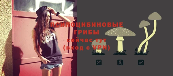 Альфа ПВП Богданович