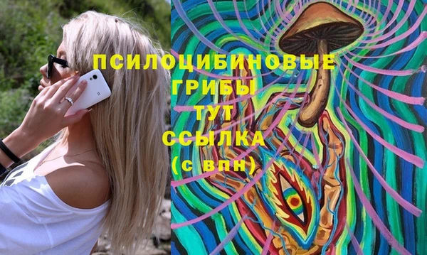 Альфа ПВП Богданович