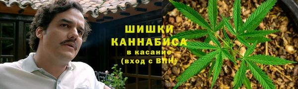 прущая мука Богородск