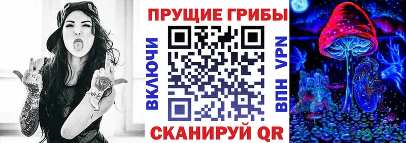 Псилоцибиновые грибы Psilocybe Борисоглебск